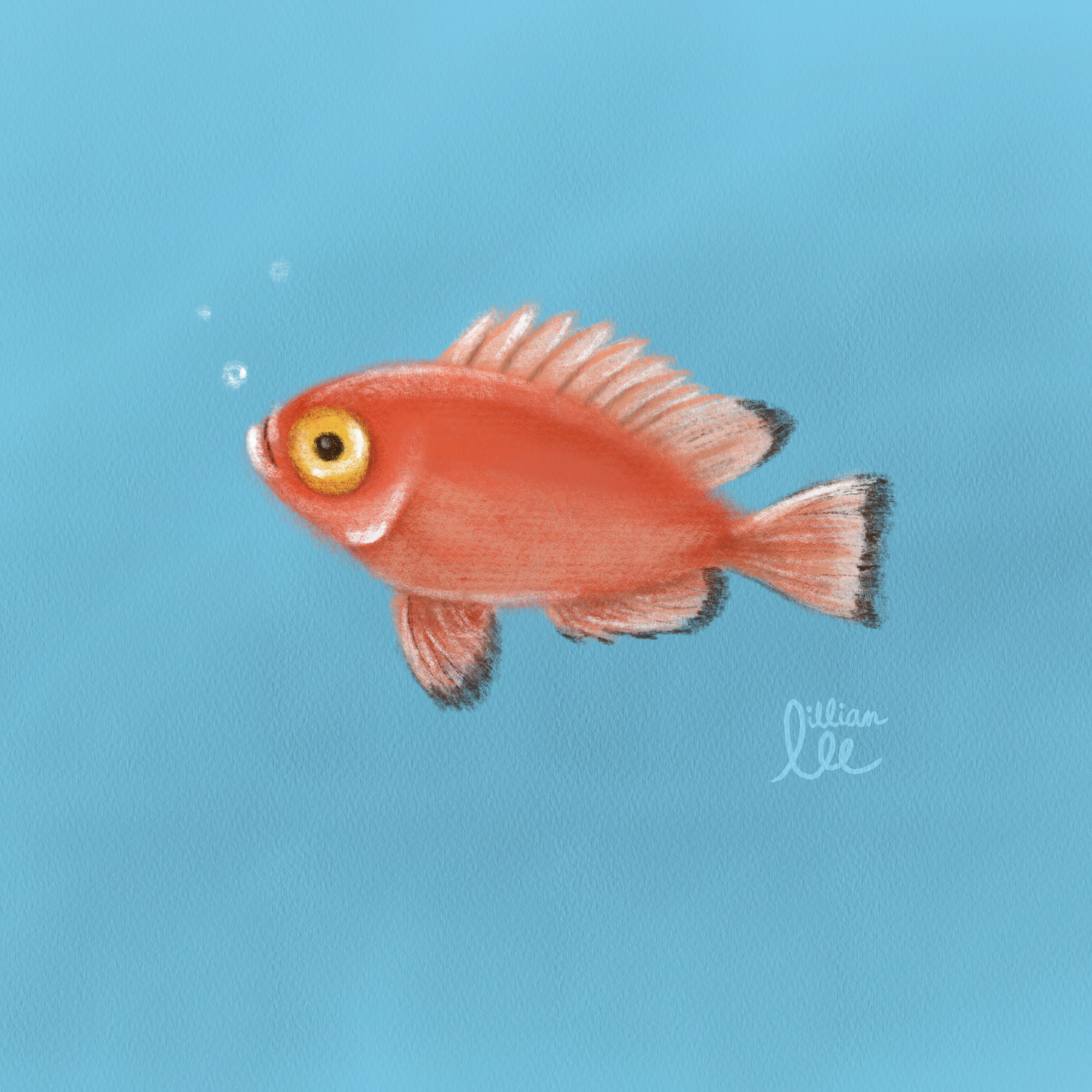 Red Fish